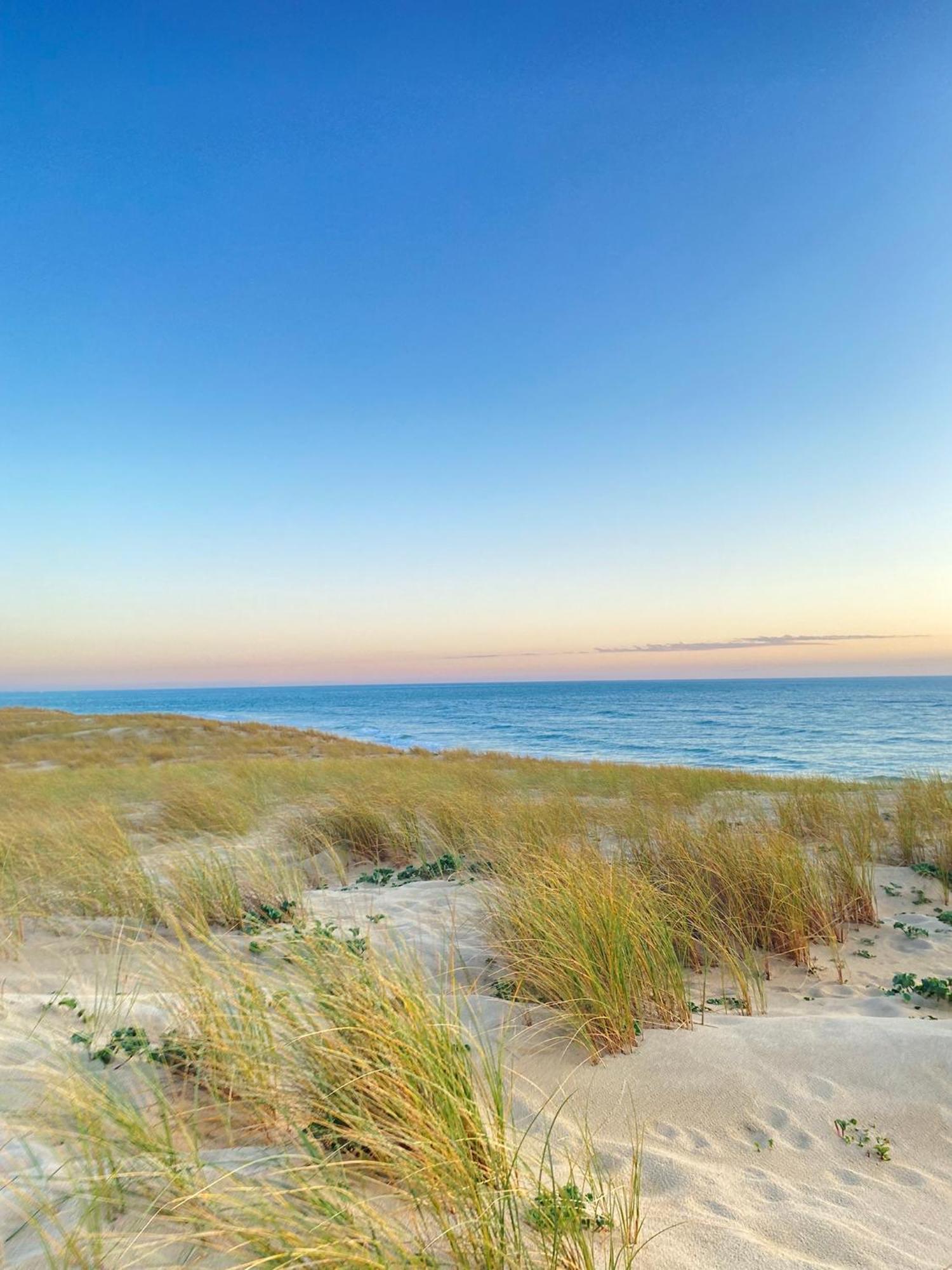 Cocon Entre Presqu'Ile Du Cap Ferret Et Plages Oceanes - Terrasse - 1 Velo Gratuit Арес Экстерьер фото